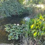 Les Jardins De Shambhala Montrem
