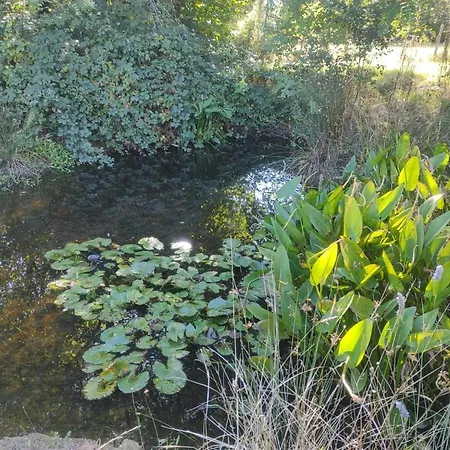 Les Jardins De Shambhala Montrem
